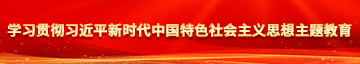 www.操逼视频大全com学习贯彻习近平新时代中国特色社会主义思想主题教育