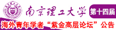 大鸡吧狠插少妇紧逼视频南京理工大学第十四届海外青年学者紫金论坛诚邀海内外英才！